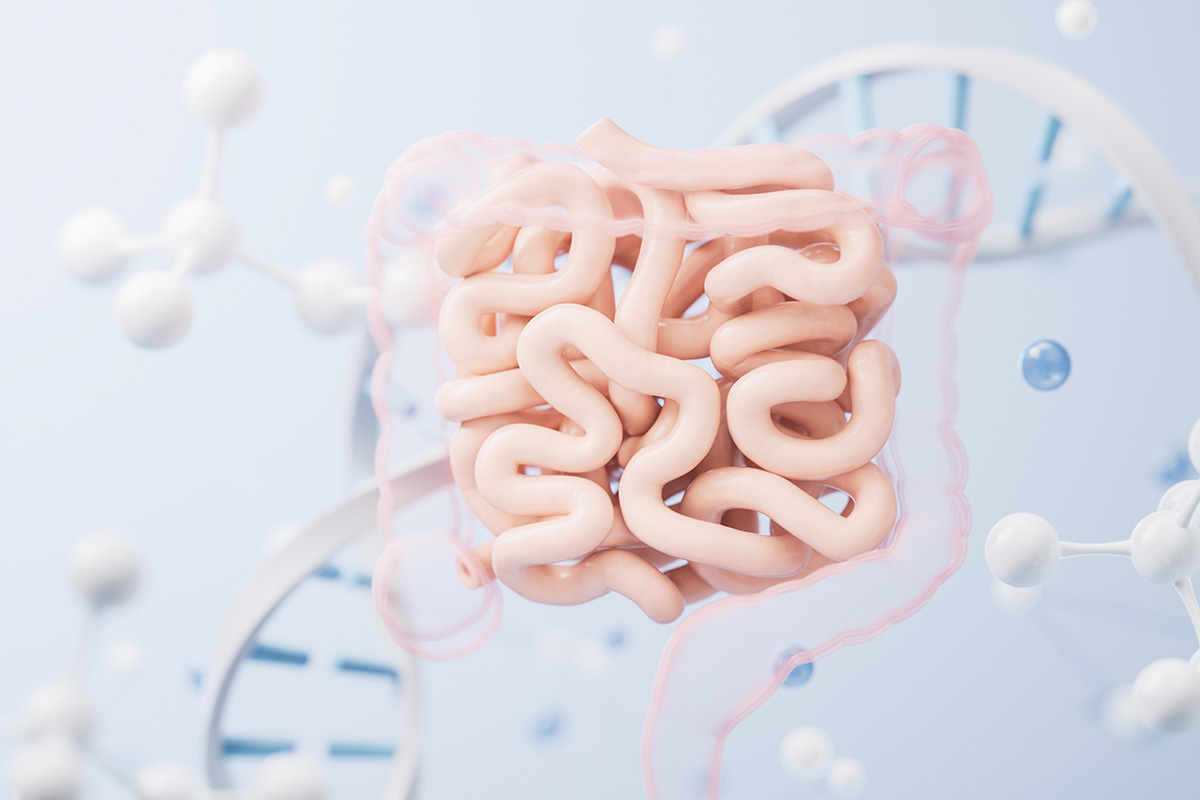 The Gut-Weight Loss Connection